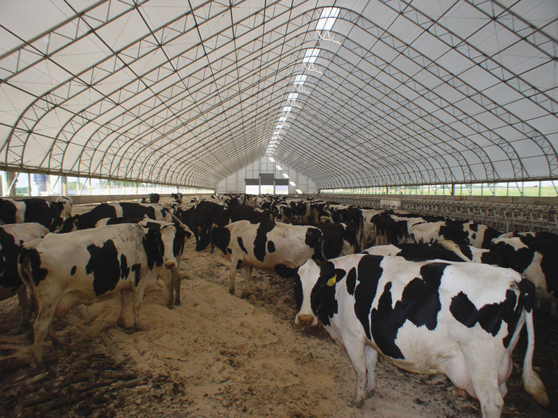 Greenberg Farms Ltd.